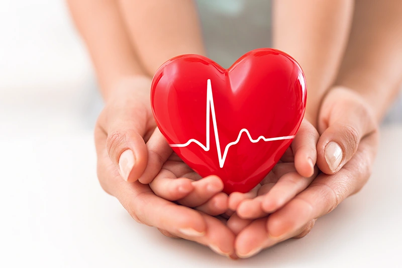 first aid and cpr certification